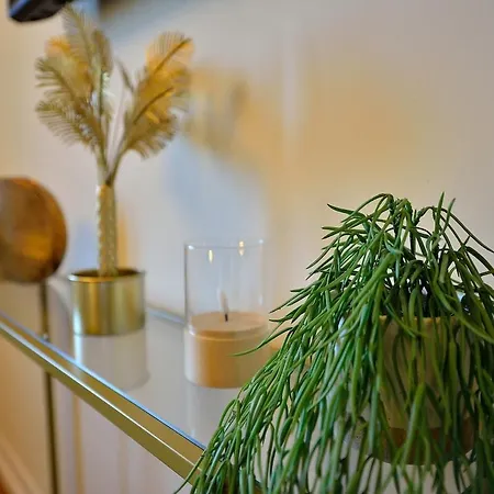 Elegante Vicino Metro B1 Collegato Al Centro Di